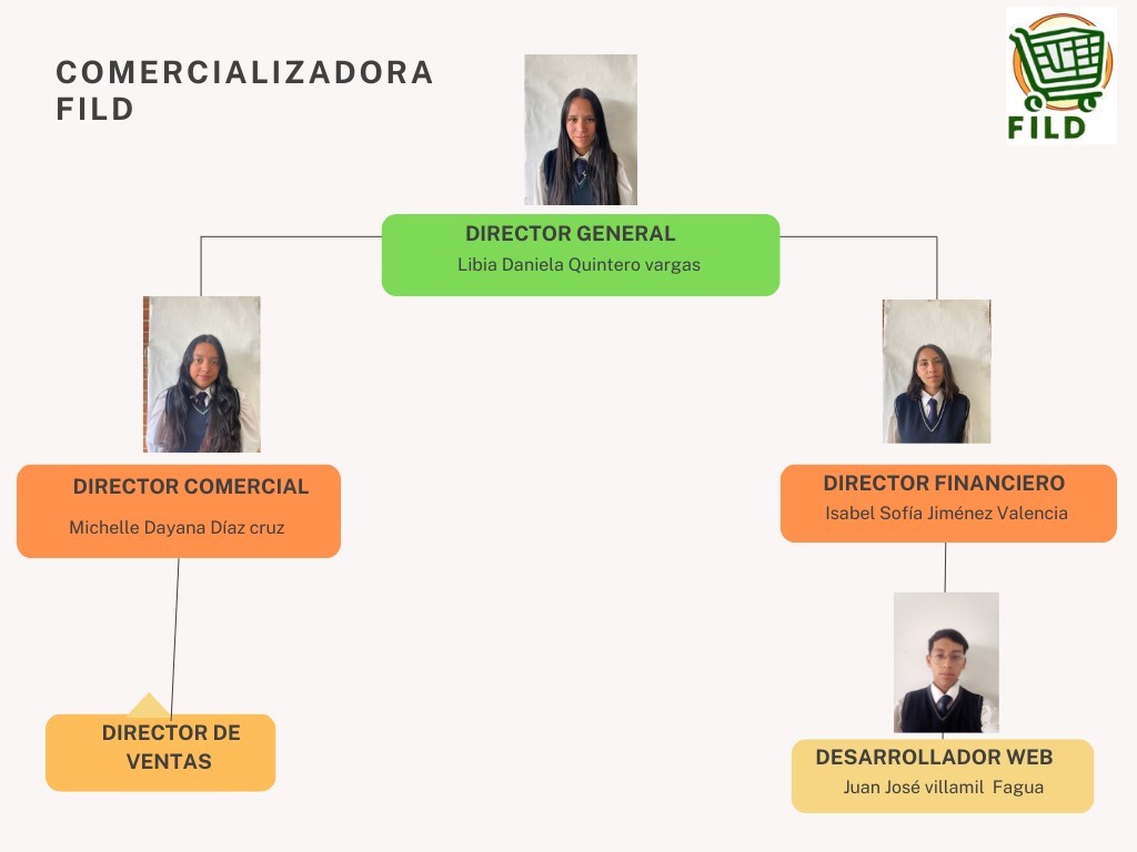 organigrama empresarial