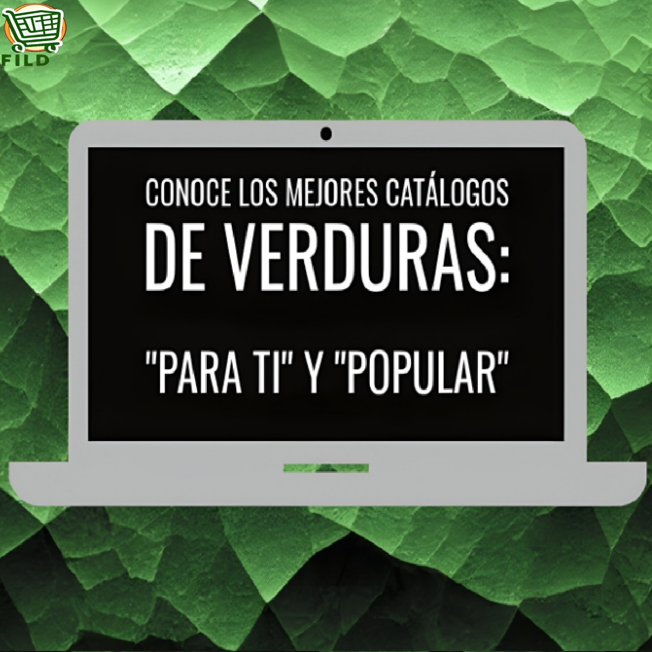 imagen verduras FILD