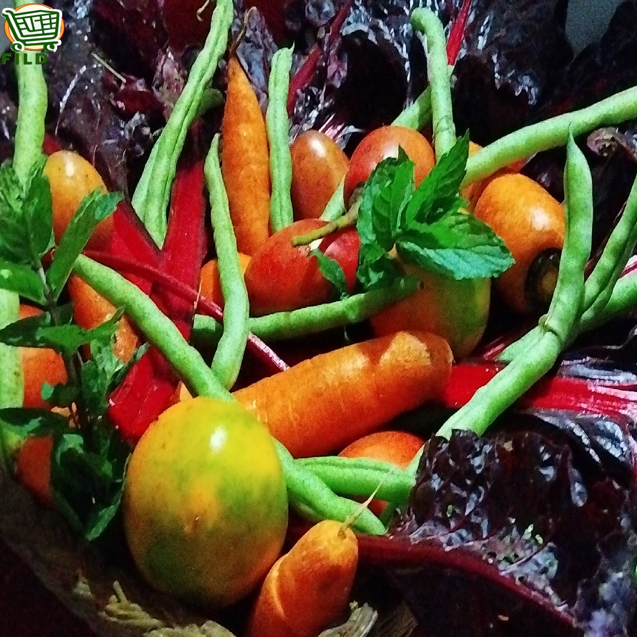 imagen verduras FILD