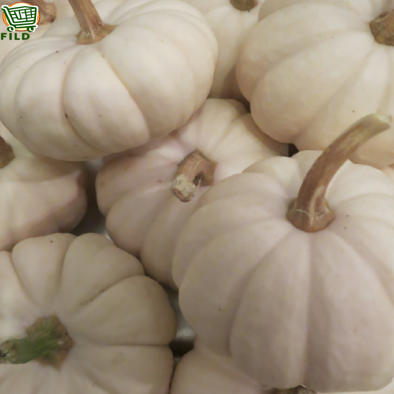 imagen verduras FILD